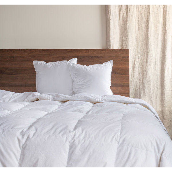 BOKSER HOME Down Alternative Throw Pillow Insert Wayfair